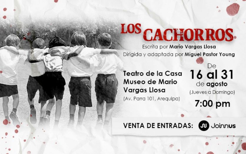 Los Cachorros