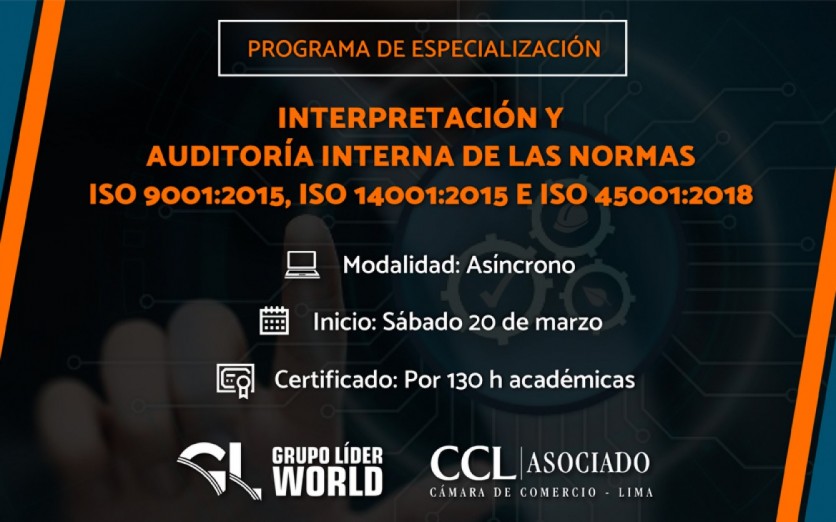 Programa: Interpretación y Auditoría Interna de las Normas