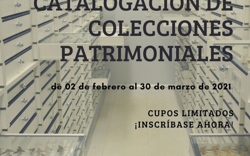 Registro y Catalogación de Colecciones Patrimoniales