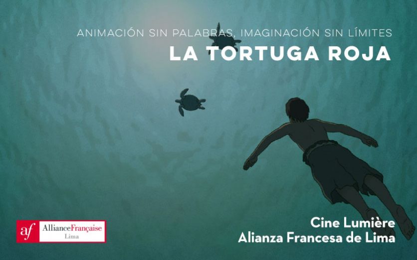 Petit Ecran: La tortuga roja