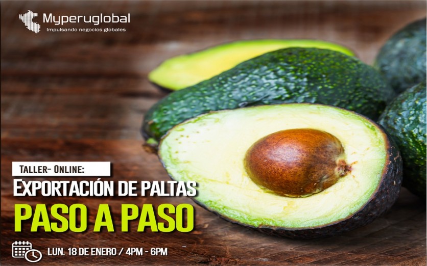 EXPORTACIÓN DE PALTAS PASO A PASO