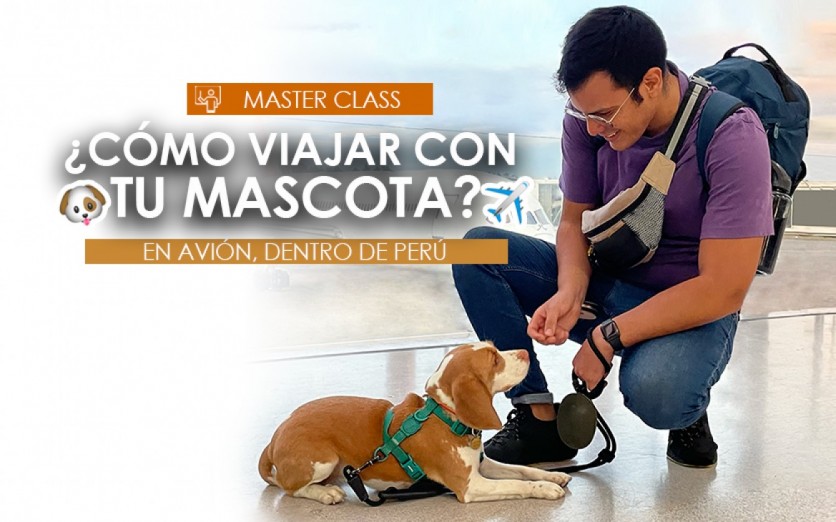 Master Class: Cómo viajar con mascota en avión