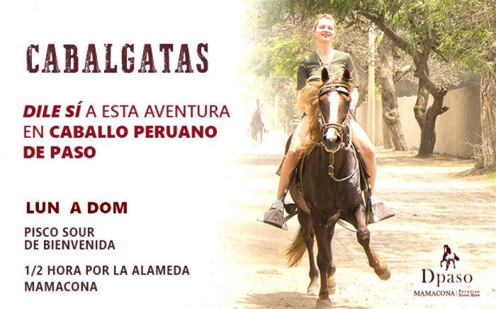 CABALGATAS EN CABALLO PERUANO DE PASO / / Joinnus