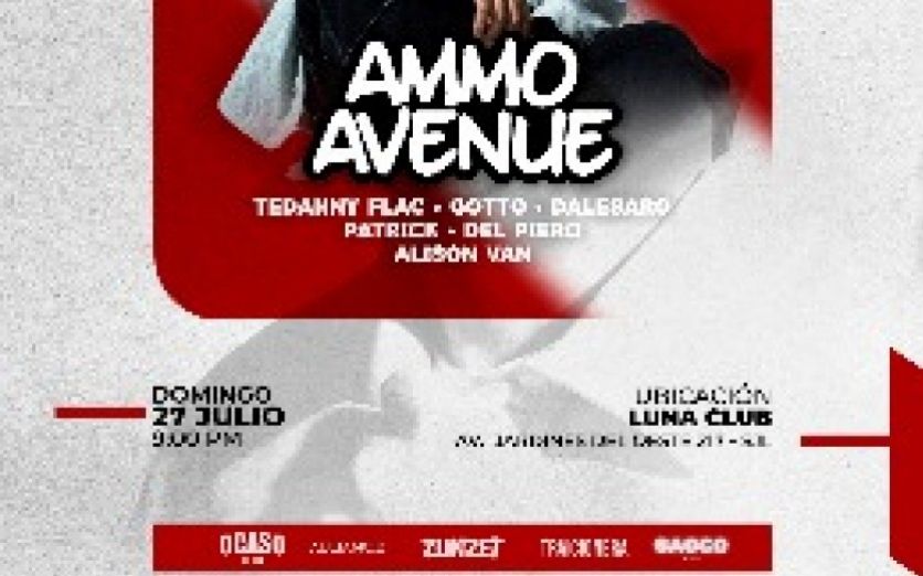 AMMOAVENUE SJL