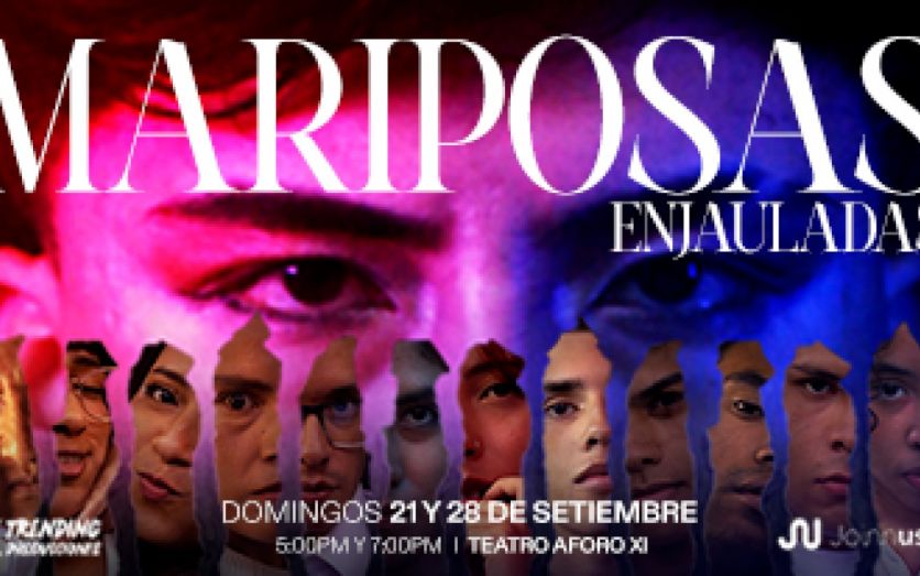 MARIPOSAS ENJAULADAS