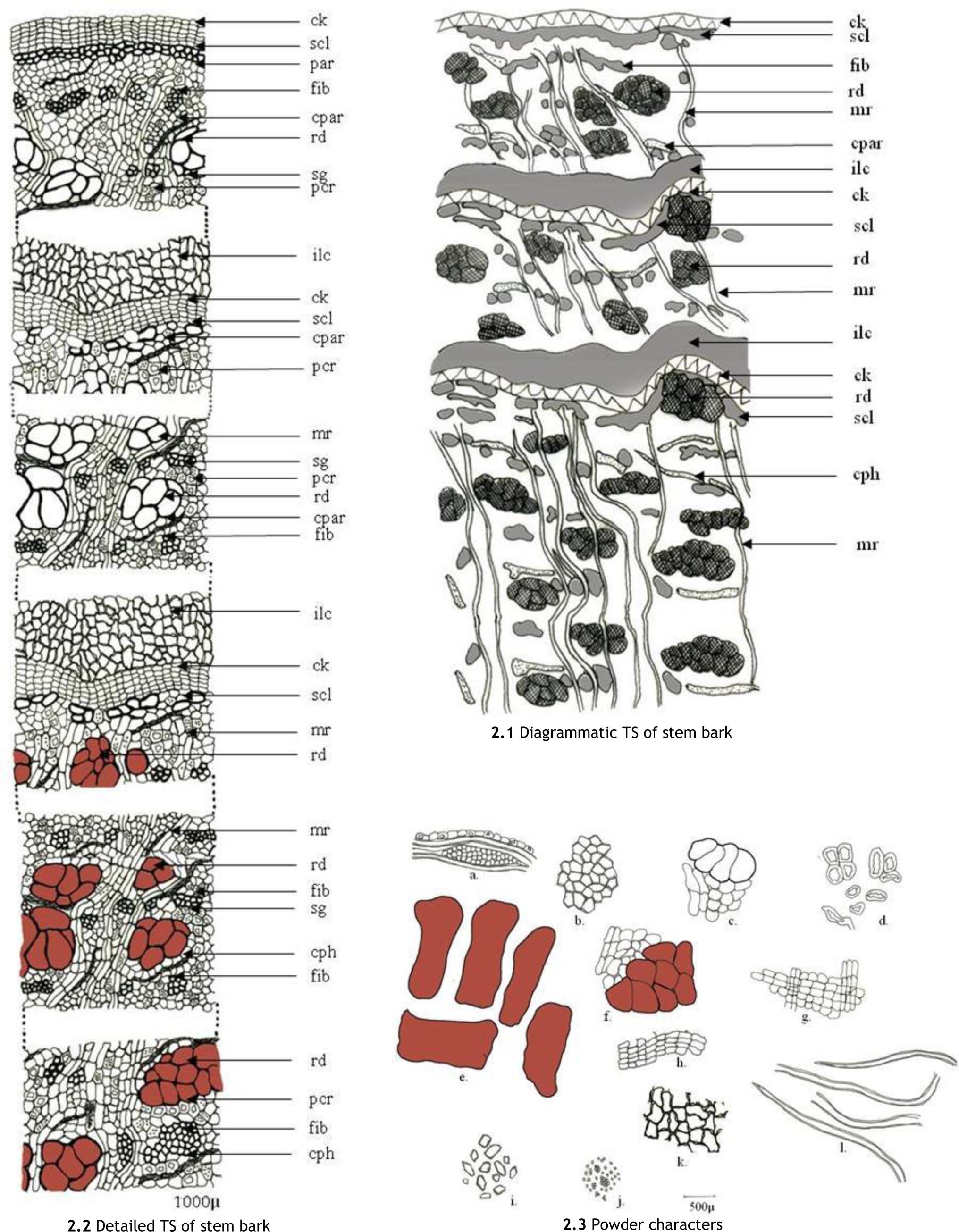 https://s3-us-west-2.amazonaws.com/jourdata/jams/3_Nirawane_et_al_10.5530jams.2017.2.33-g002.jpg