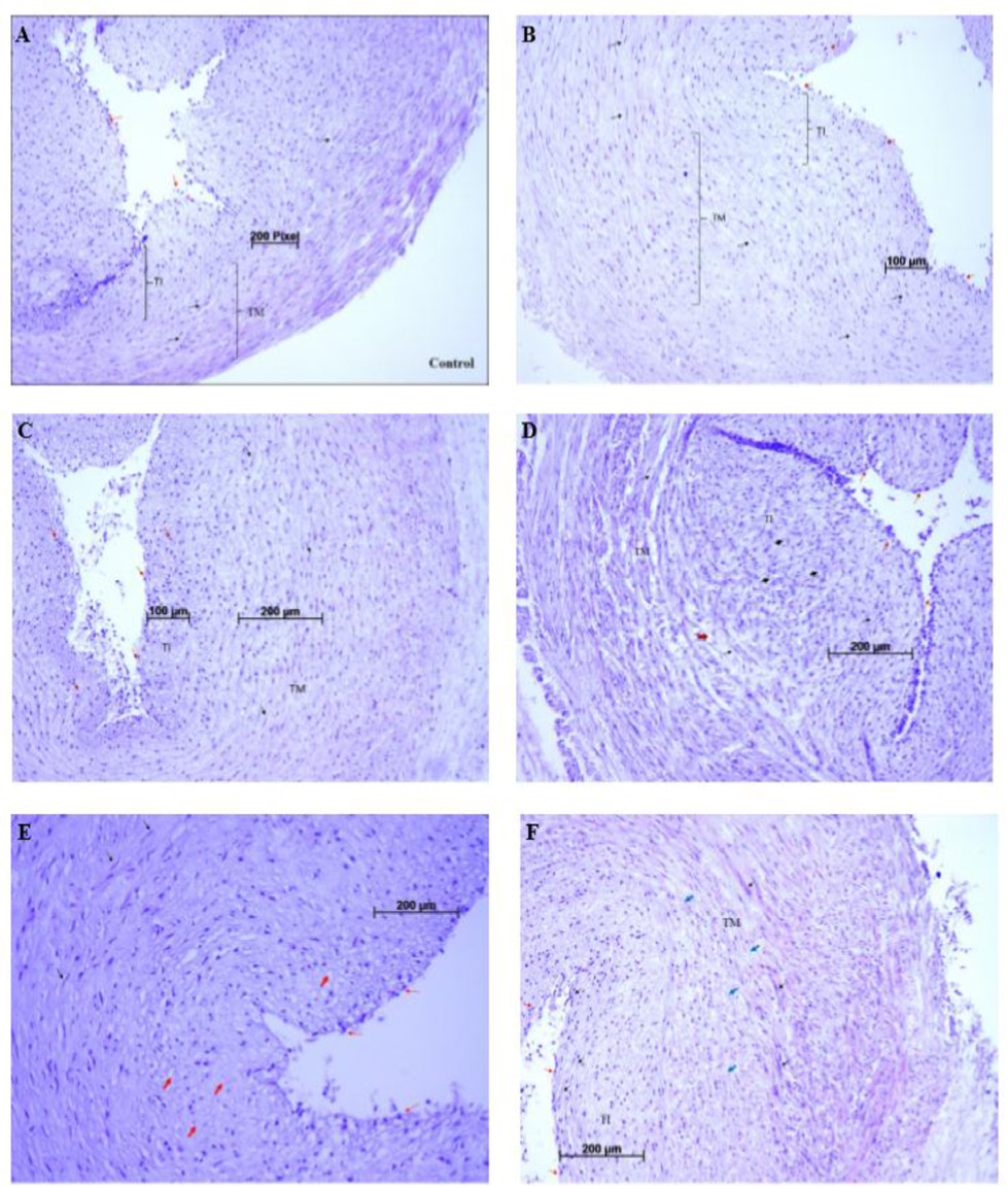 https://s3-us-west-2.amazonaws.com/jourdata/pj/PharmacognJ-10-148-g004.jpg