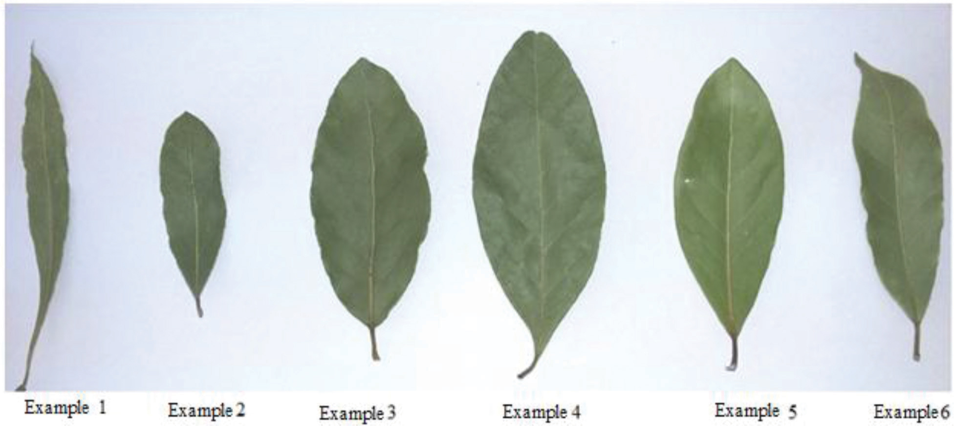 https://s3-us-west-2.amazonaws.com/jourdata/pj/PharmacognJ-10-172-g001.jpg