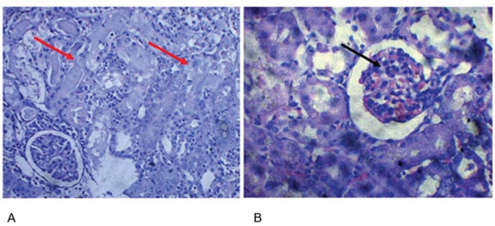 https://s3-us-west-2.amazonaws.com/jourdata/pj/PharmacognJ-10-403-407_g001.jpg