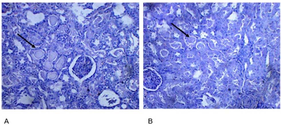 https://s3-us-west-2.amazonaws.com/jourdata/pj/PharmacognJ-10-403-407_g002.jpg