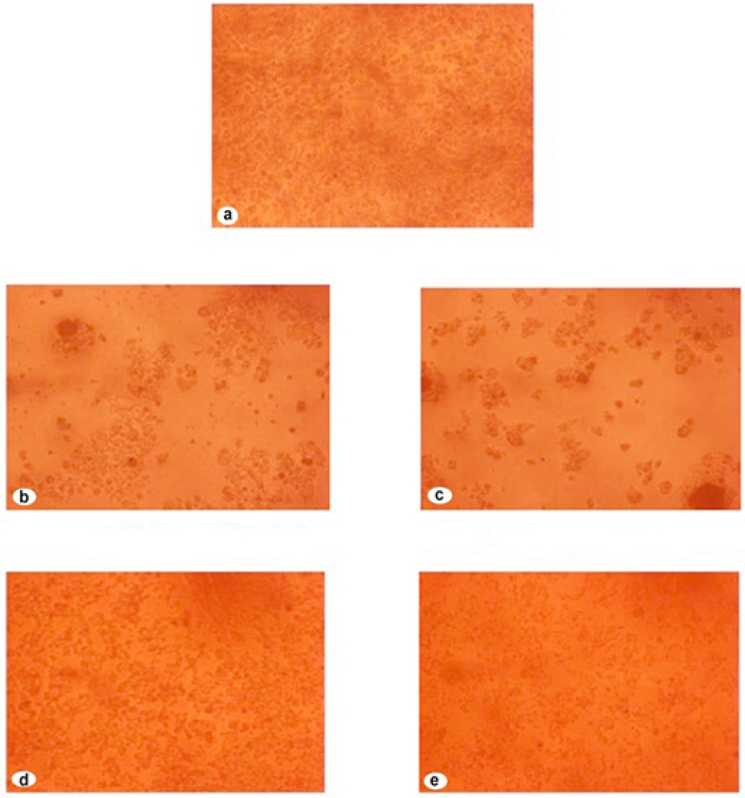 https://s3-us-west-2.amazonaws.com/jourdata/pj/PharmacognJ-10-421_428_g007.jpg