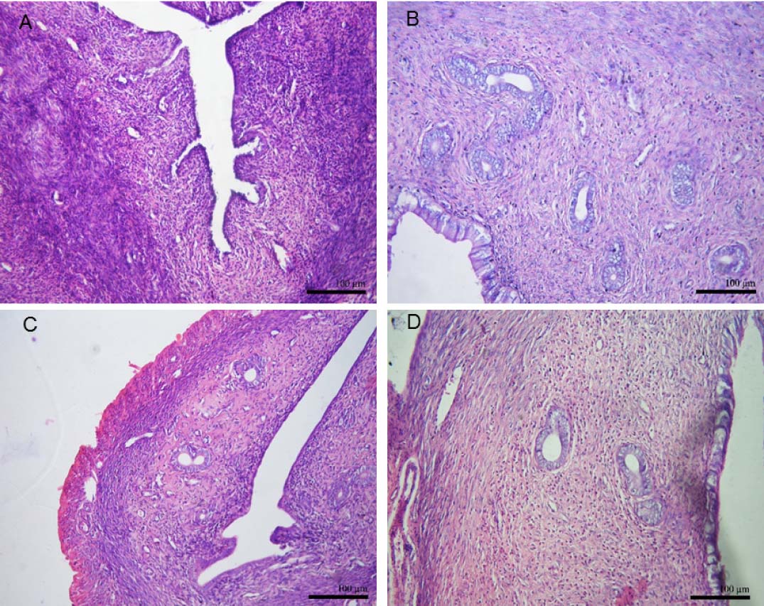 https://s3-us-west-2.amazonaws.com/jourdata/pj/PharmacognJ-10-435_438_g001.jpg