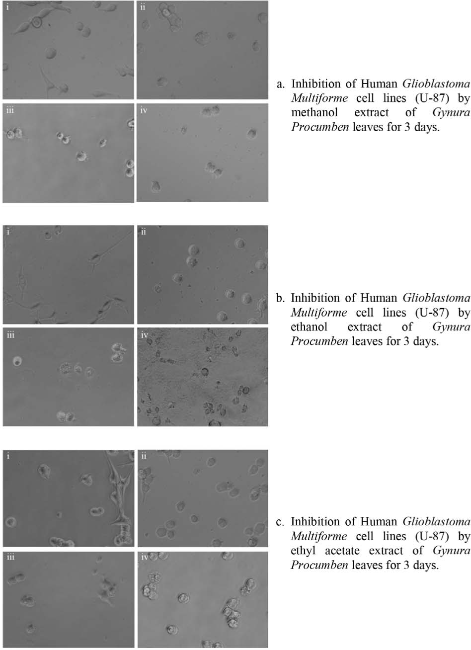 https://s3-us-west-2.amazonaws.com/jourdata/pj/PharmacognJ-10-492_496_g002.jpg