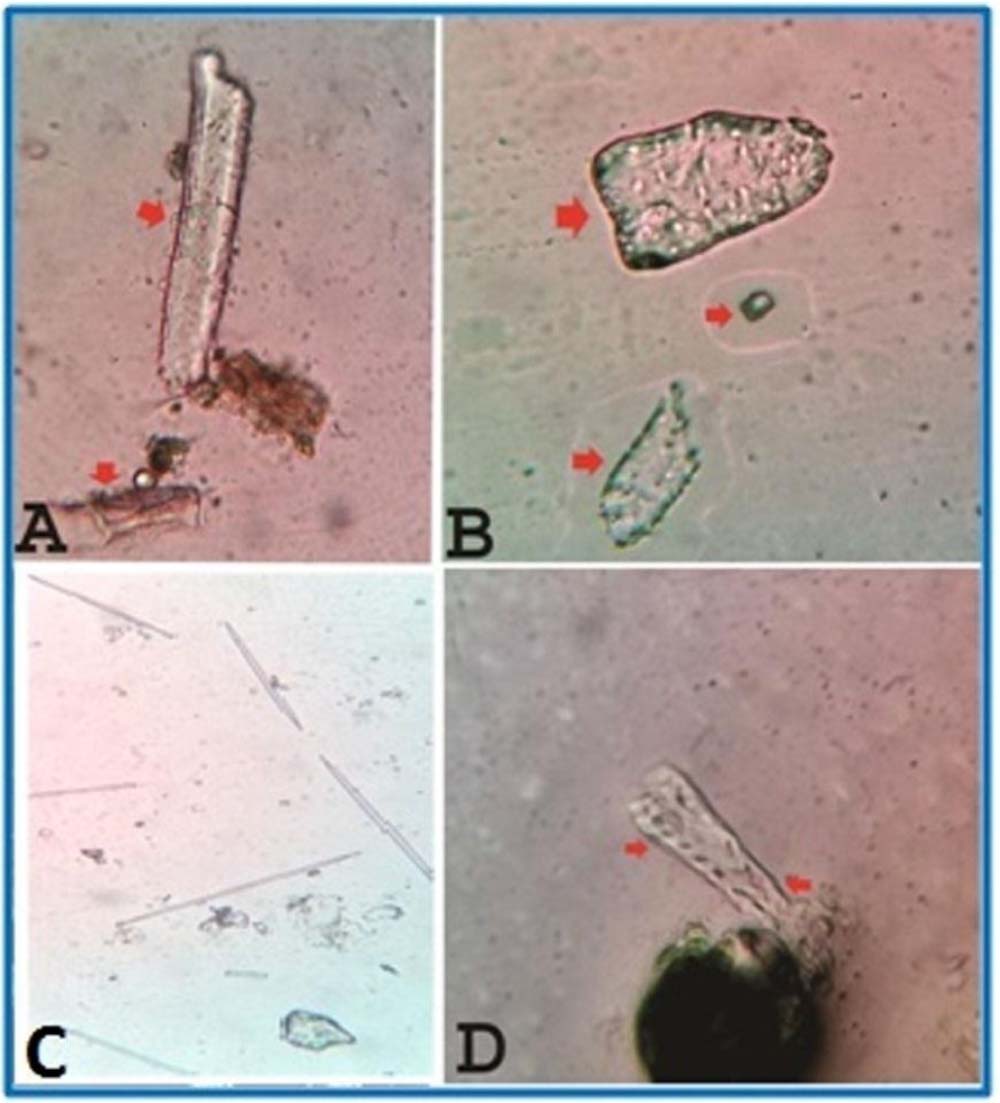 https://s3-us-west-2.amazonaws.com/jourdata/pj/PharmacognJ-10-533_540_g006.jpg