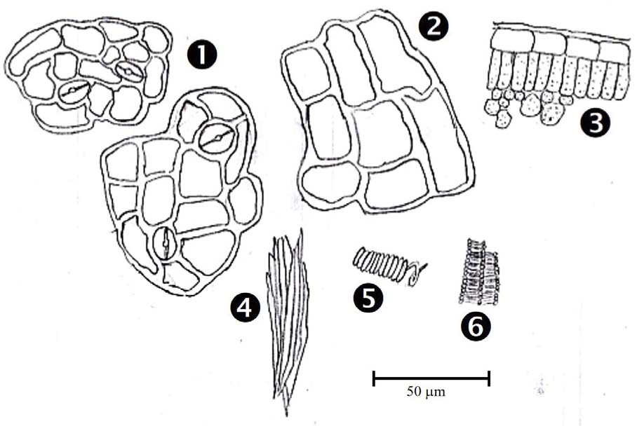 https://s3-us-west-2.amazonaws.com/jourdata/pj/PharmacognJ-10_2_293_004.jpg