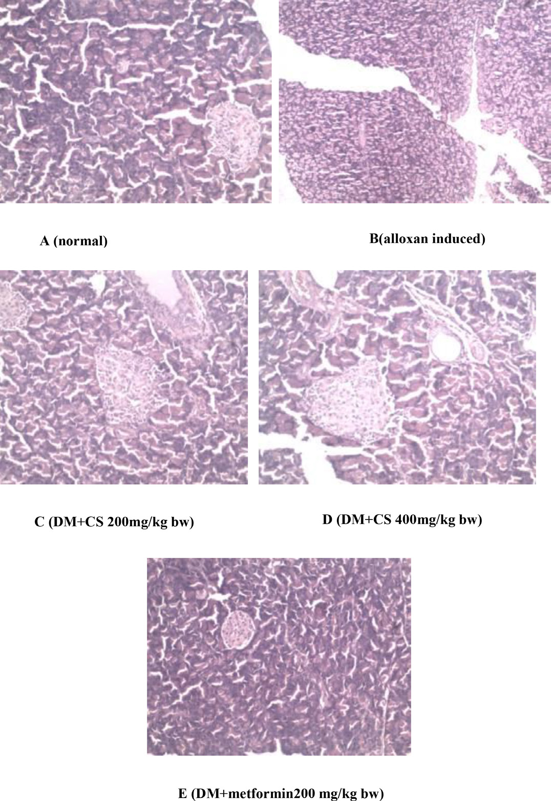 https://s3-us-west-2.amazonaws.com/jourdata/pj/PharmacognJ-9-792_img_5.jpg