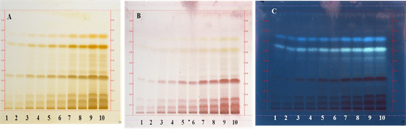 https://s3-us-west-2.amazonaws.com/jourdata/pj/PharmacognJ-9-887_img_6.jpg