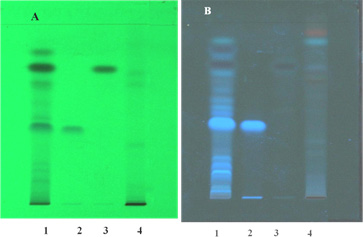 https://s3-us-west-2.amazonaws.com/jourdata/pj/PharmacognJ-9-887_img_8.jpg