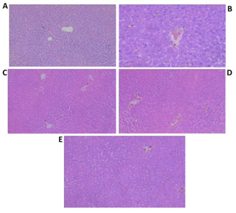 https://s3-us-west-2.amazonaws.com/jourdata/pj/PharmacognJ-9-947_img_1.jpg