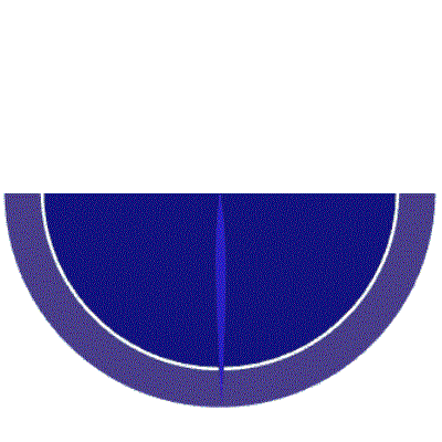 missing BlueHalf