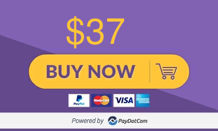 Pay button