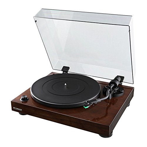Fluance RT81 High Fidelity Vinyl Turntable Record Player with Dual Magnet Cartridge, Elliptical Diamond Stylus, Belt Drive, Built-in Preamp, Adjustable Counterweight & Anti-Skating, Solid Wood Cabinet
