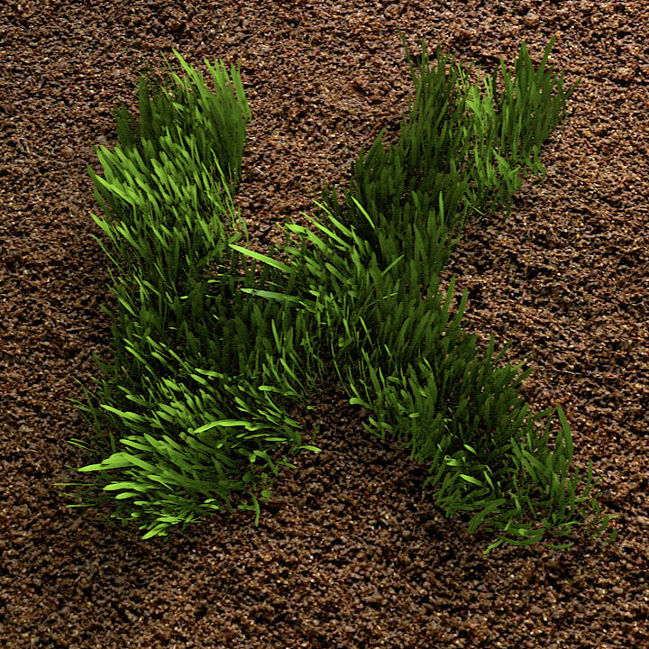 KEEN 15: Community Garden