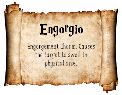 Engorgio