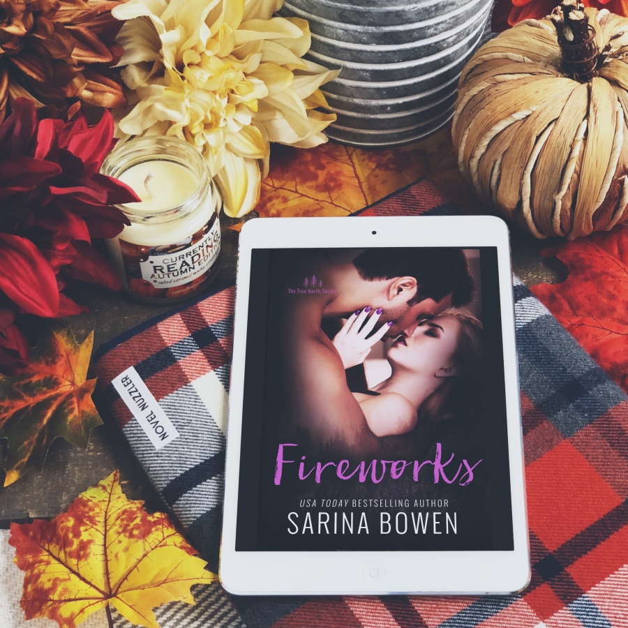 In Review: Fireworks (True North #6) by Sarina Bowen