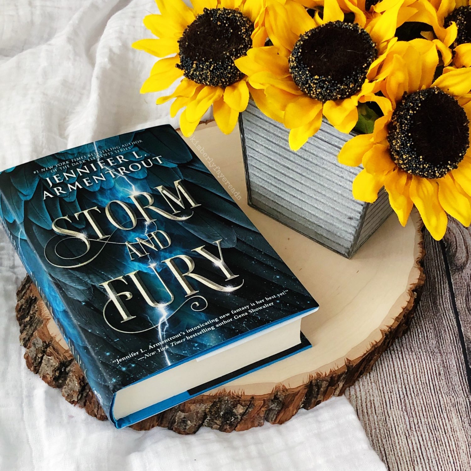 In Review: Storm and Fury (The Harbinger #1) by Jennifer L. Armentrout