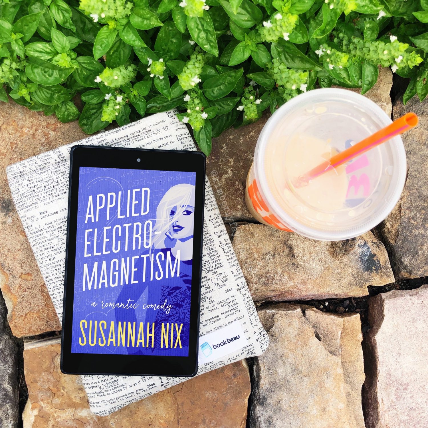In Review: Applied Electromagnetism (Chemistry Lessons #4) by Susannah Nix