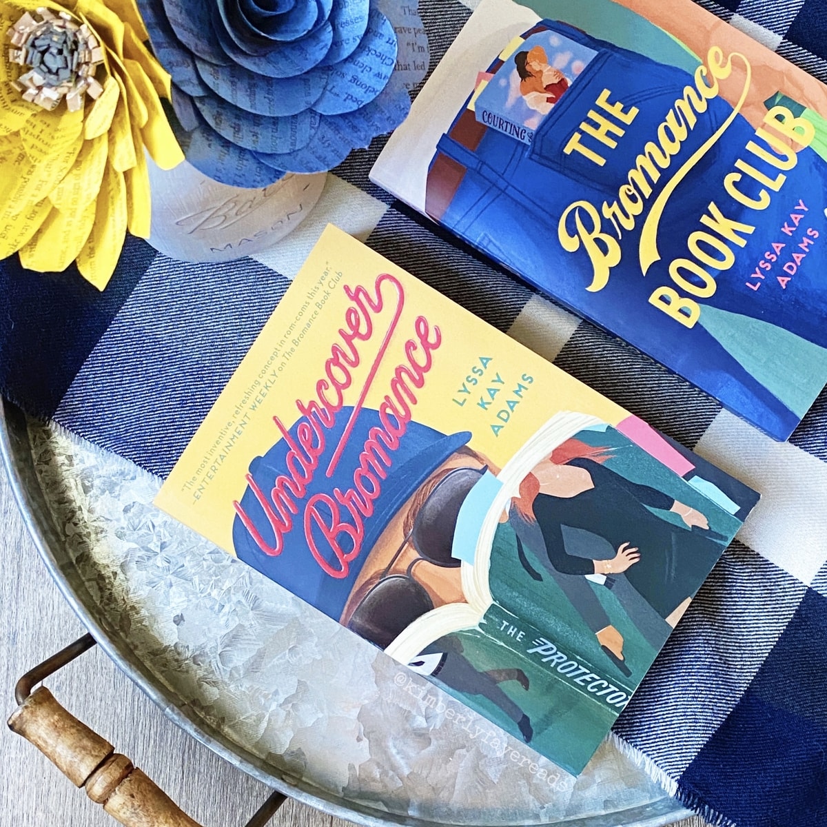 In Review: Undercover Bromance (Bromance Book Club #2) by Lyssa Kay Adams