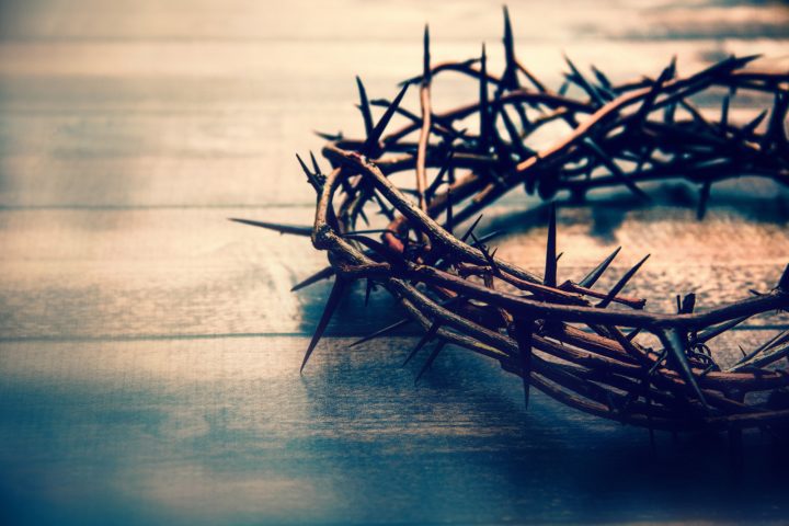 crown-of-thorns crown-of-thorns