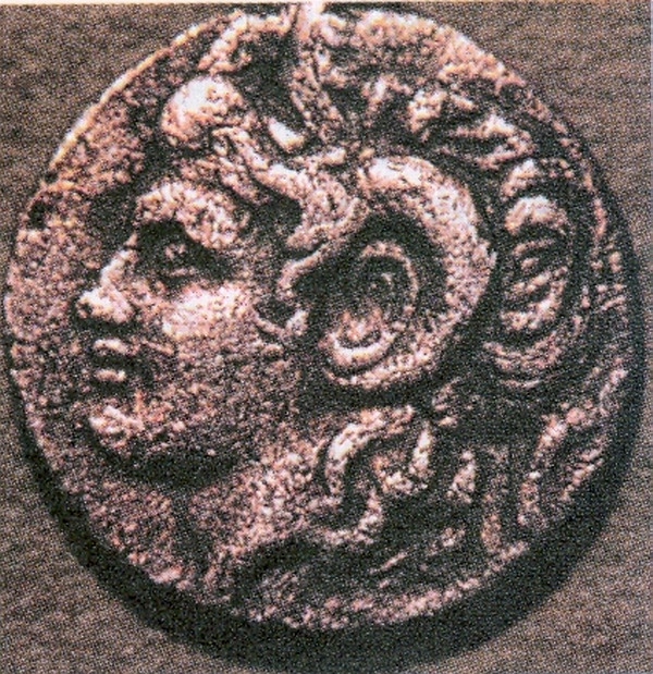 Image 8