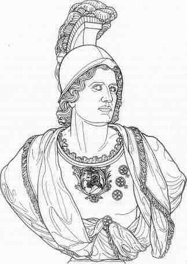 Image 13