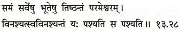 Sanskrit 13.28