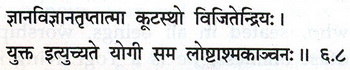 Sanskrit 6.8