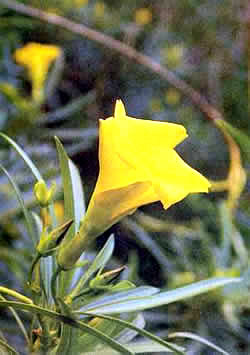 Image 34