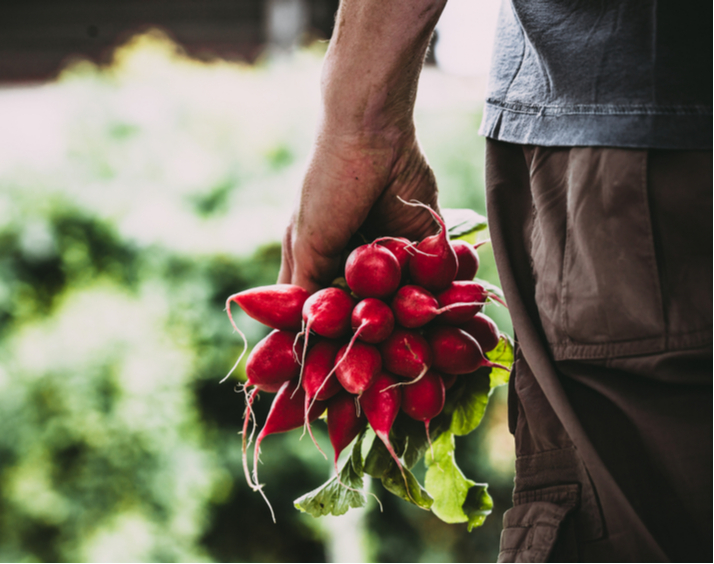 mexico-ingresa-al-top-10-de-exportadores-agroalimentarios