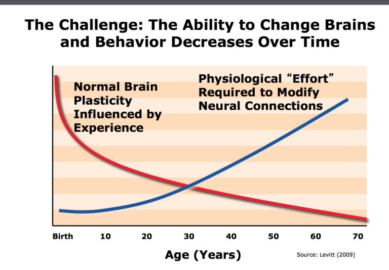 Harvard Graphic on Neuroplasticity