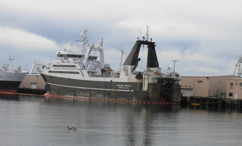The Ocean Rover is tied up in port in Seattle on Jan. 1, 2008. It's one of six American Seafoods Co. factory trawlers.