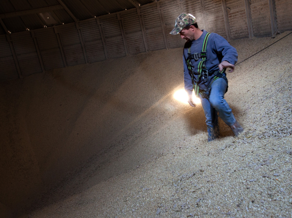Grain Operator Austin Clubb surveys corn inside the Homestead Grain
