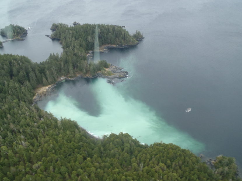 Sitka herring forecast lowest in a decade