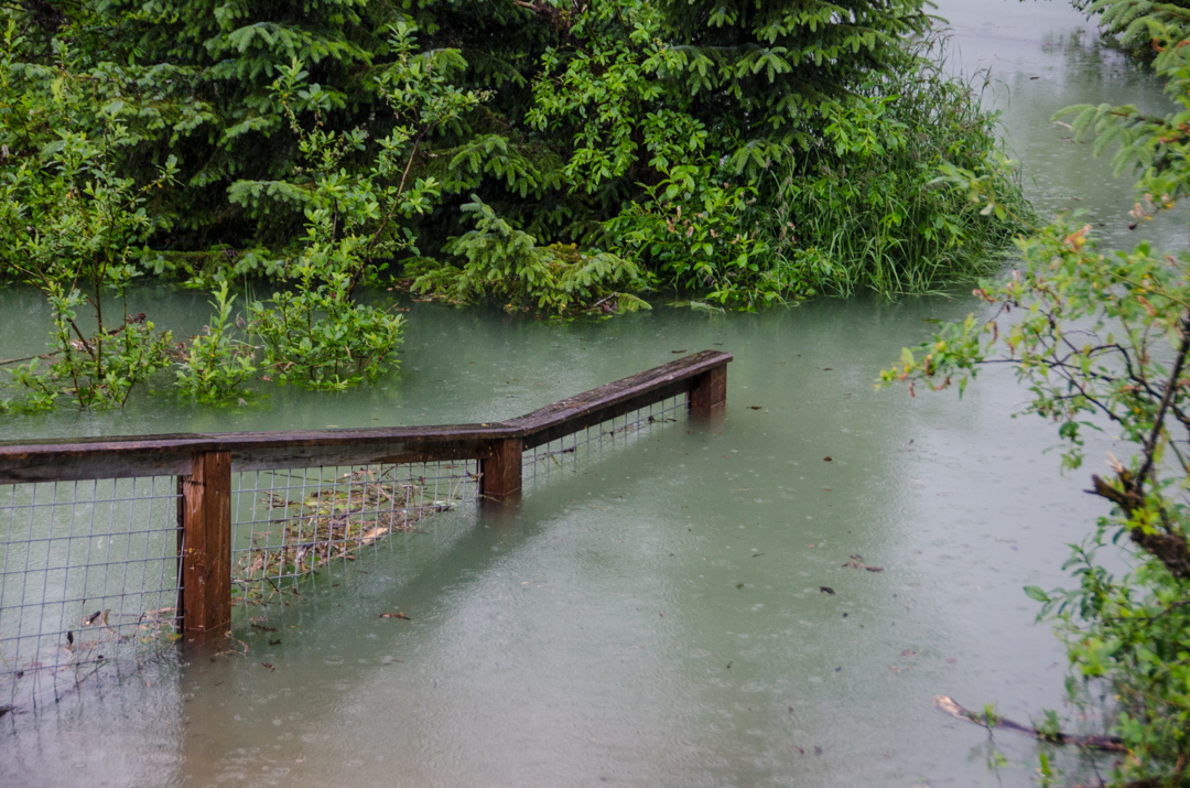Mendenhall flood waters begin to recede