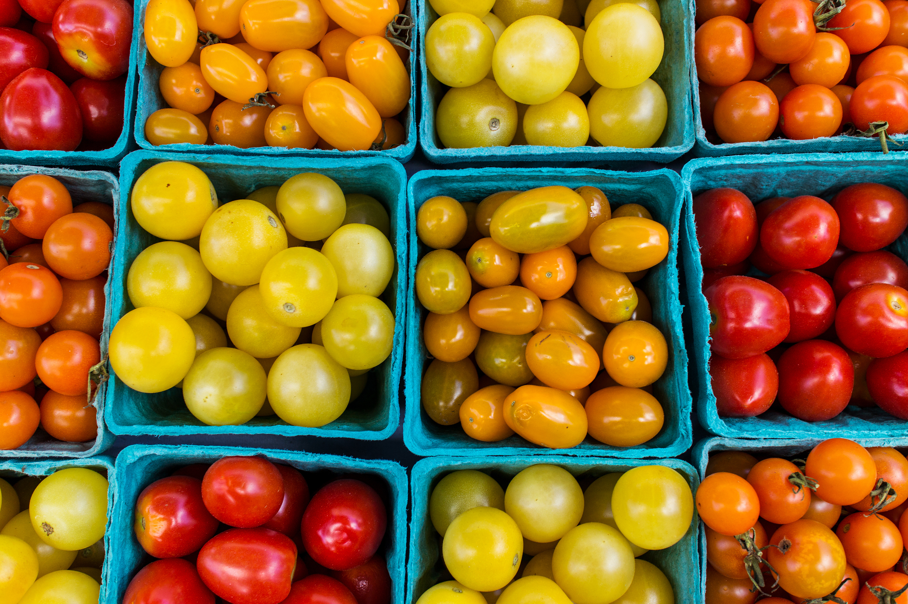South Madison Farmers Market Has New >> Tomatoes At Union South Farmers Market In Madison Wisconsin Ktoo South Madison Farmers Market Has New >> Tomatoes At Union South Farmers Market In Madison Wisconsin Ktoo