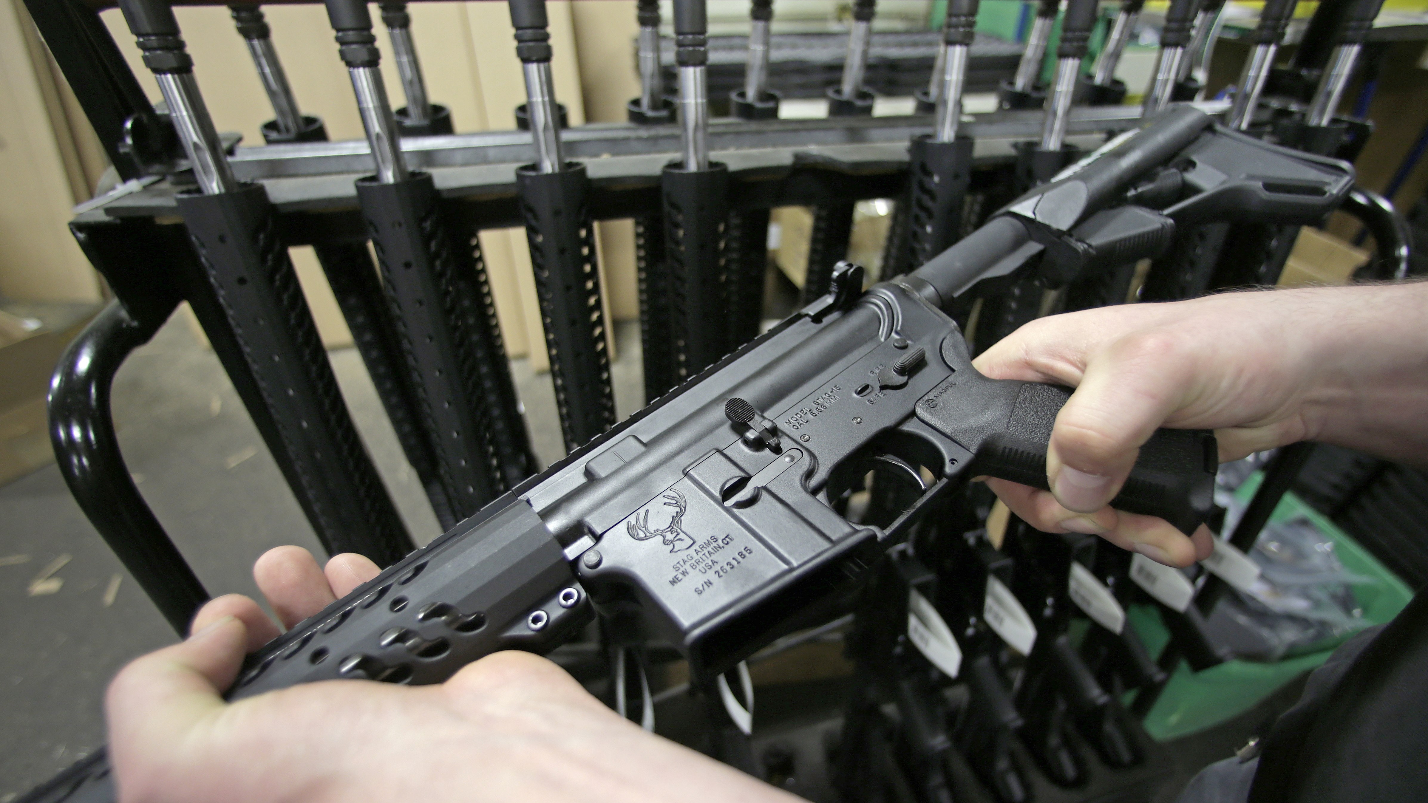 New York state's 2013 gun law includes a ban on the sale of socalled