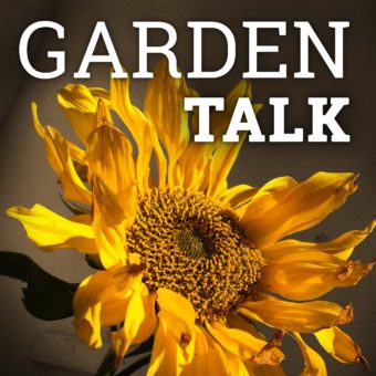 Garden Talk