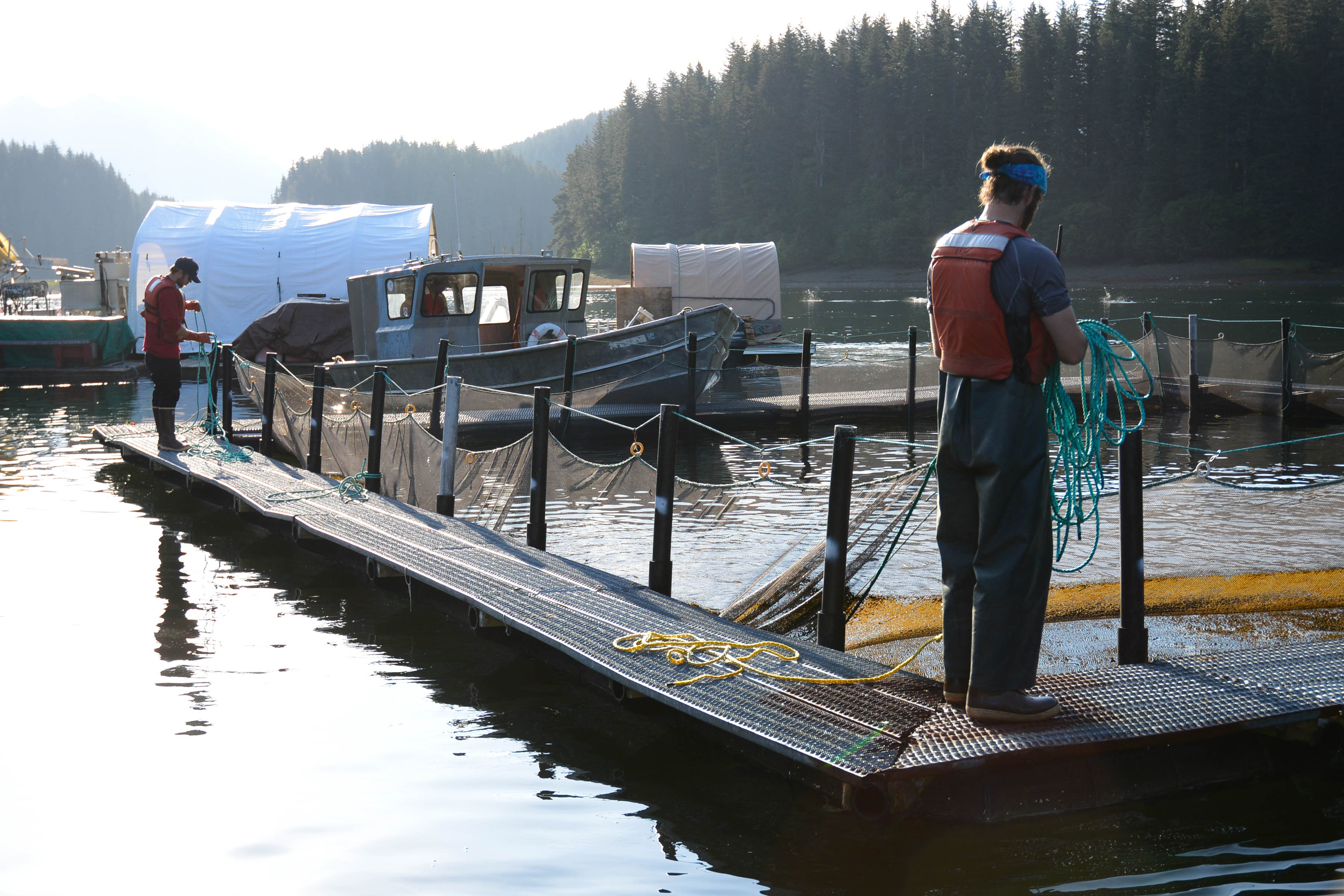 Aquaculture association commissions study in Tutka Bay