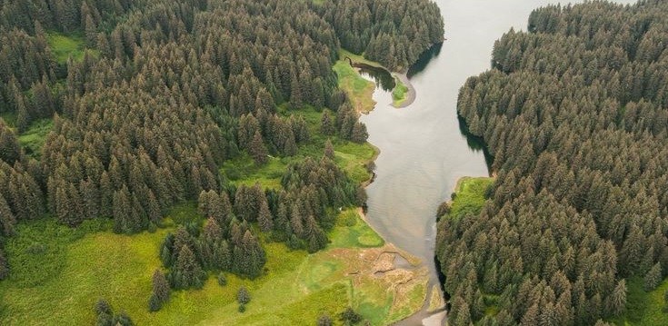 The state of Alaska purchased nearly 2,000 acres of Afognak Island around the Thorsheim drainage, pictured here, for land preservation through Exxon Valdez settlement funds.