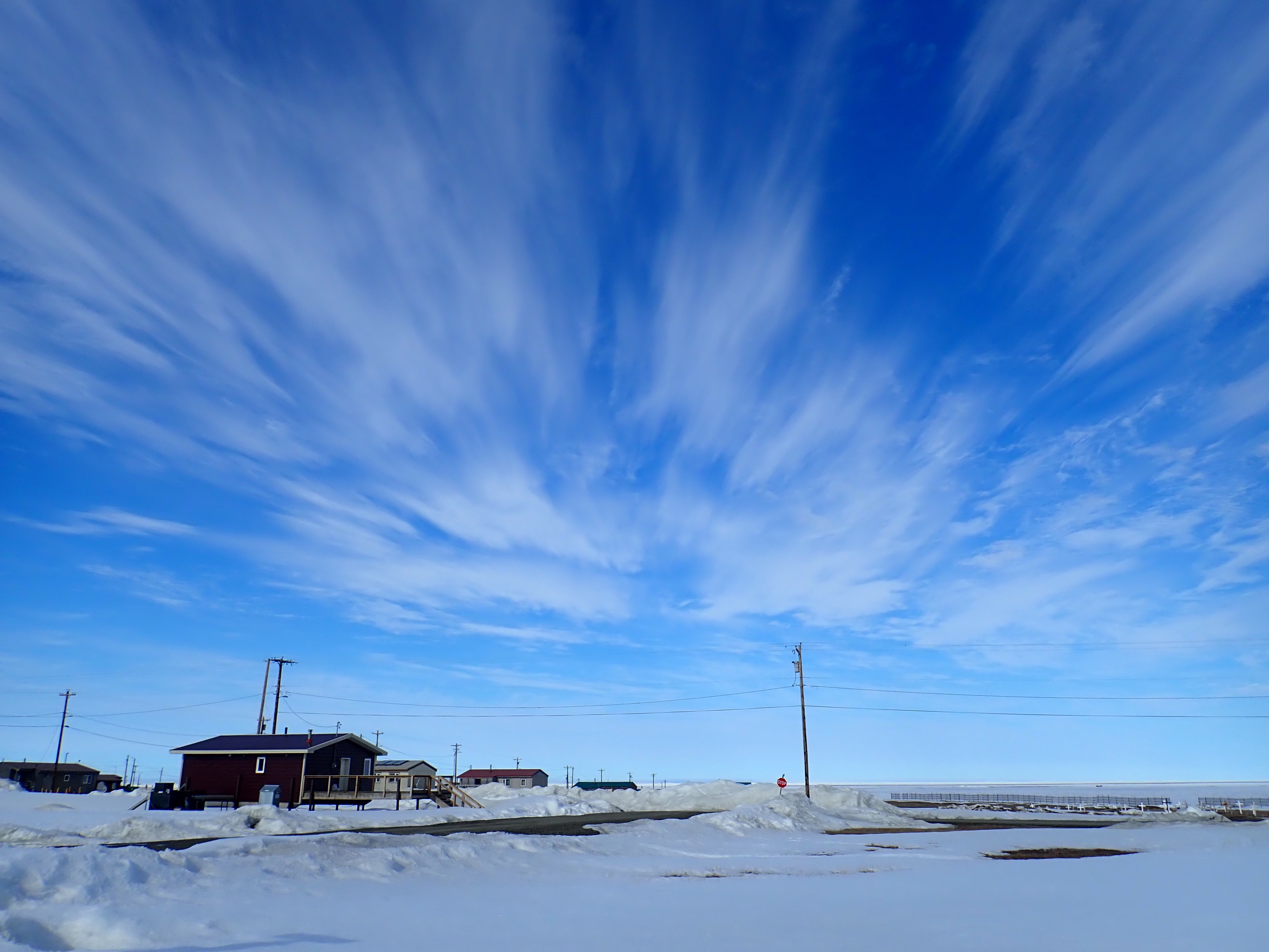 North Slope's Kaktovik sees winter increase in polar bears, tourists